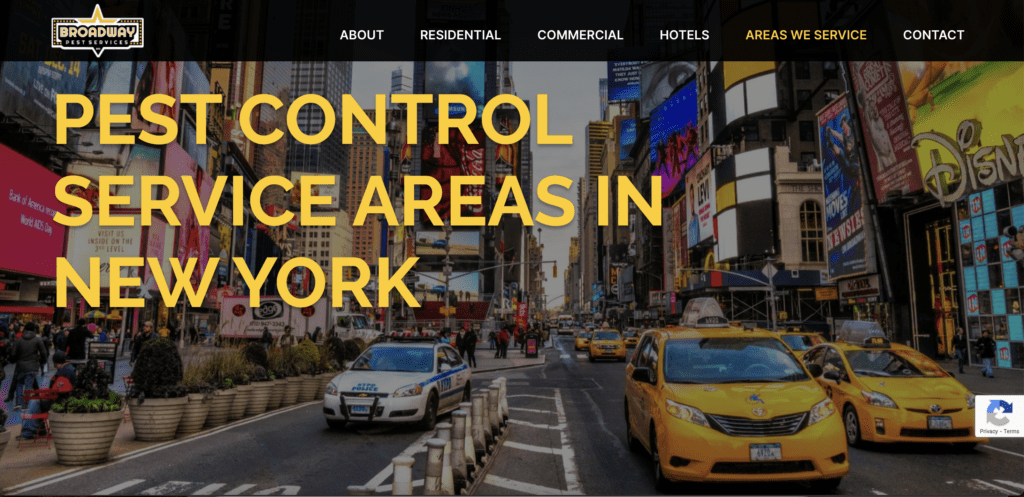 broadway pest control website optimization for seo